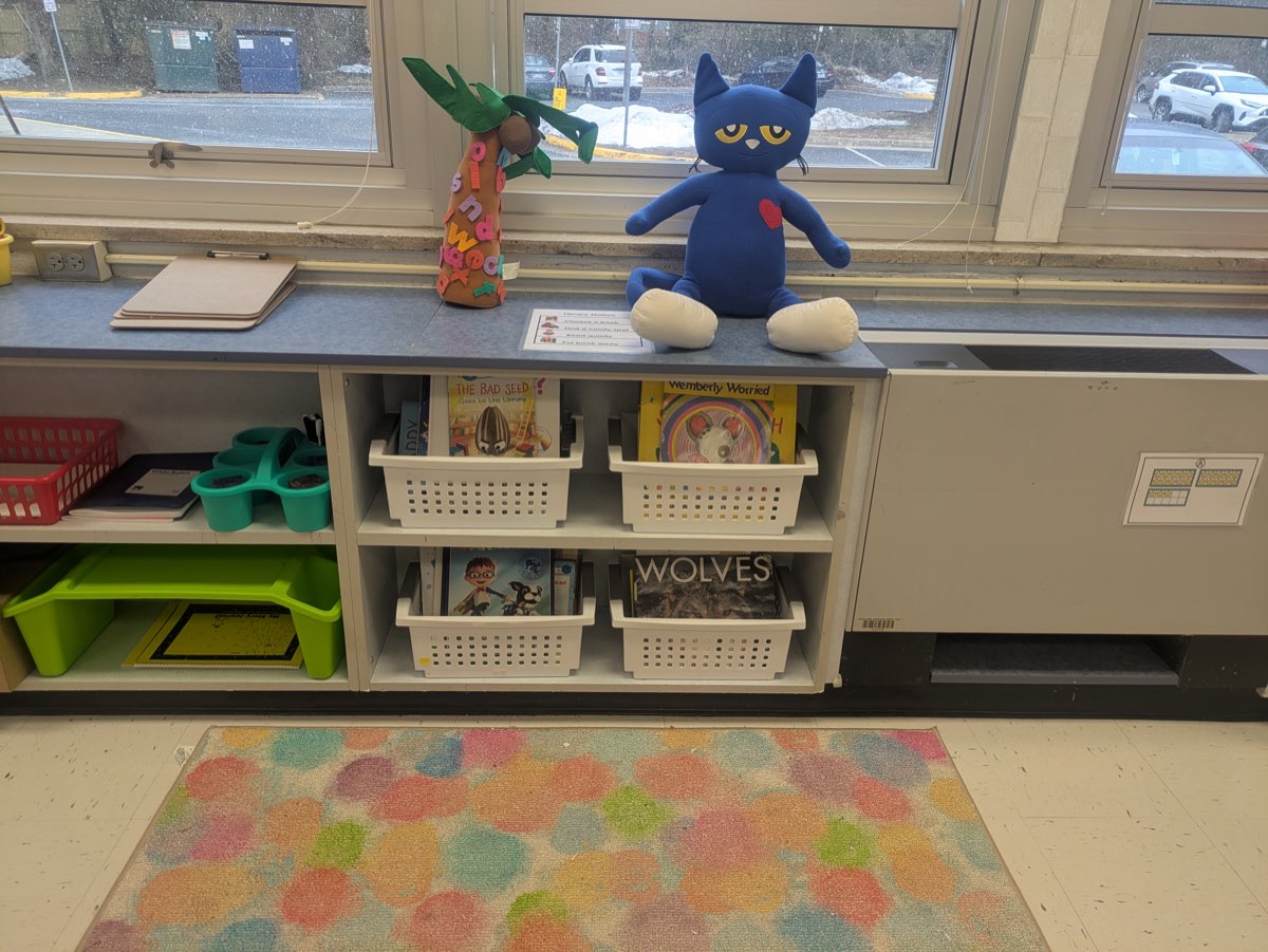 Classroom Library